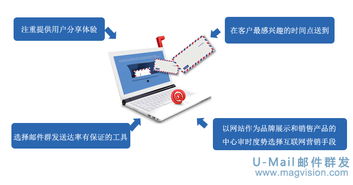 邮件群发案例 宠物用品制造商成功之道